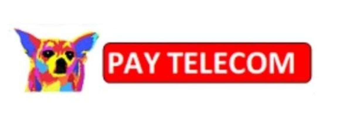 PAY TELECOM & PONCE CONSULTING